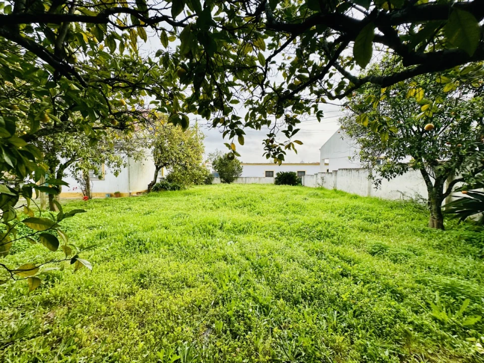 Quinta para Venda em São Miguel do Rio Torto e Rossio Ao Sul do Tejo Foto 36