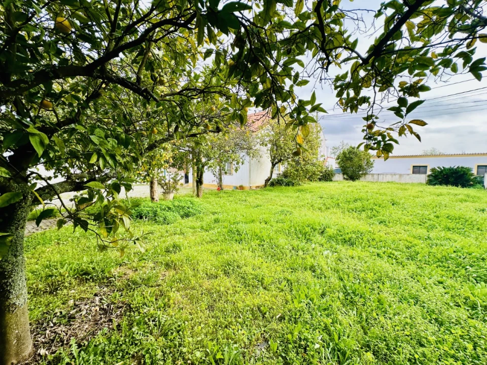 Quinta para Venda em São Miguel do Rio Torto e Rossio Ao Sul do Tejo Foto 37