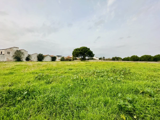 Quinta para Venda em São Miguel do Rio Torto e Rossio Ao Sul do Tejo Foto 2