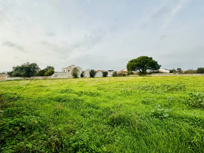 Quinta para Venda em São Miguel do Rio Torto e Rossio Ao Sul do Tejo Foto 7