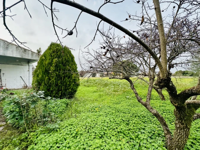 Quinta para Venda em São Miguel do Rio Torto e Rossio Ao Sul do Tejo Foto 15