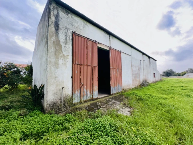 Quinta para Venda em São Miguel do Rio Torto e Rossio Ao Sul do Tejo Foto 28