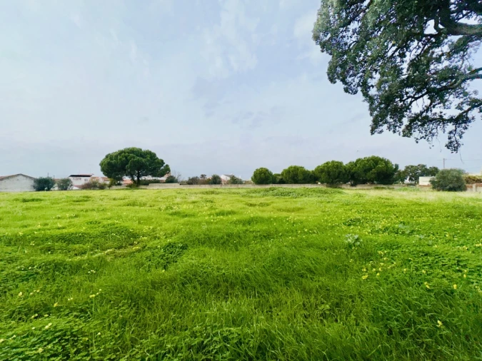 Quinta para Venda em São Miguel do Rio Torto e Rossio Ao Sul do Tejo Foto 31