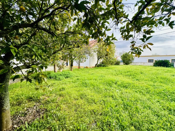 Quinta para Venda em São Miguel do Rio Torto e Rossio Ao Sul do Tejo Foto 37