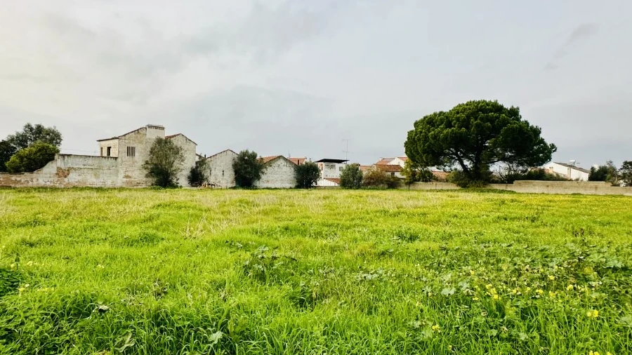 Quinta para Venda em São Miguel do Rio Torto e Rossio Ao Sul do Tejo