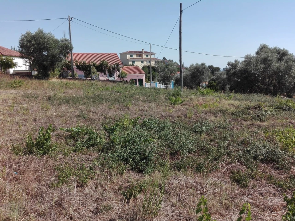 Terreno para Venda em Carvalhal Foto 4