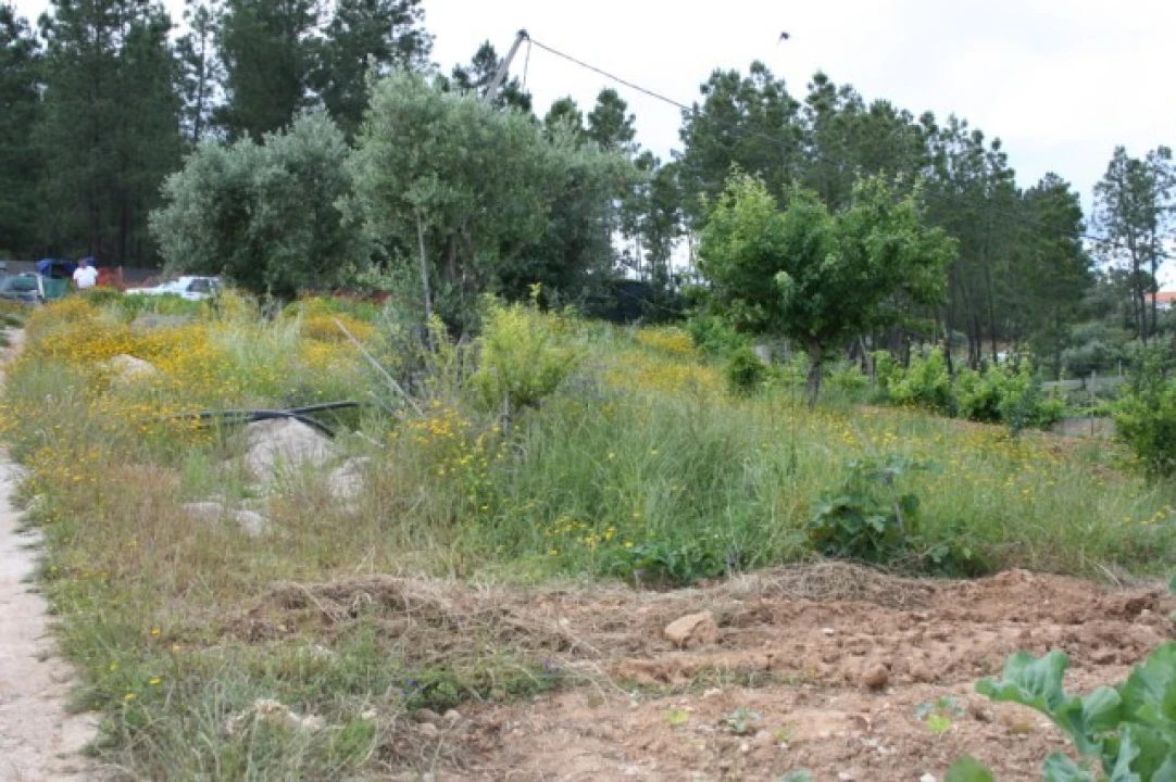 Terreno para Venda em Abrantes (São Vicente e São João) e Alferrarede Foto 1