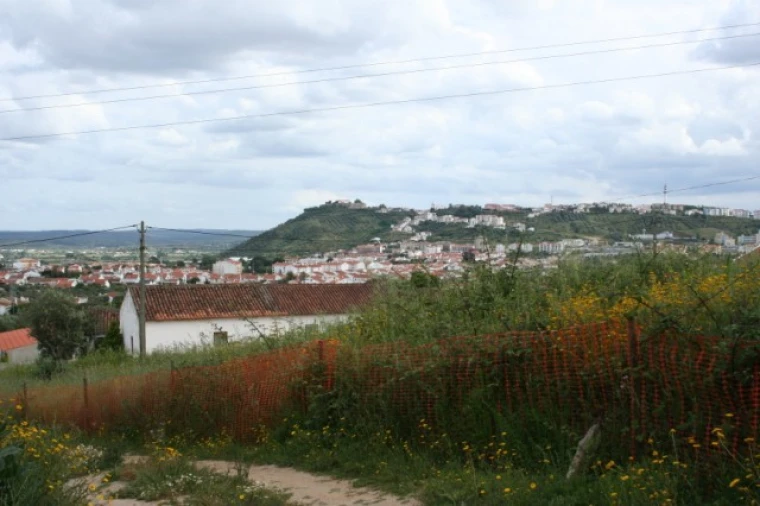 Terreno para Venda em Abrantes (São Vicente e São João) e Alferrarede Foto 4