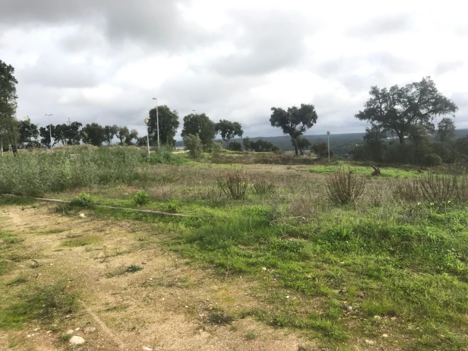 Terreno para Venda em São Miguel do Rio Torto e Rossio Ao Sul do Tejo Foto 3