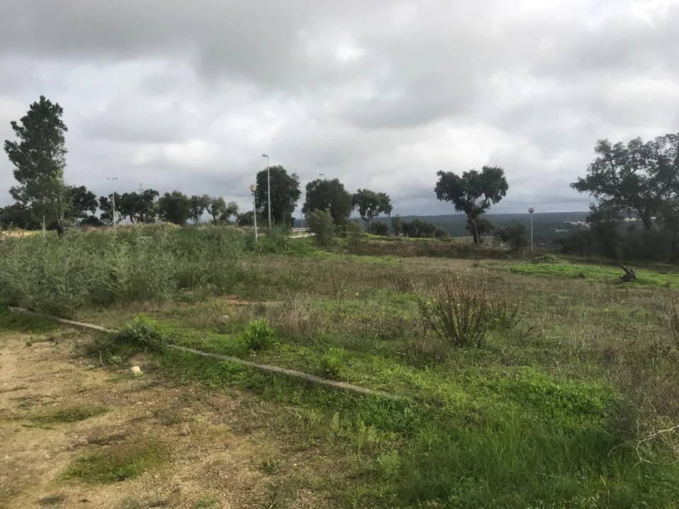 Terreno para Venda em São Miguel do Rio Torto e Rossio Ao Sul do Tejo Foto 4