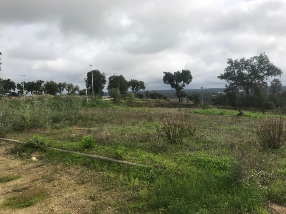 Terreno para Venda em São Miguel do Rio Torto e Rossio Ao Sul do Tejo Foto 5