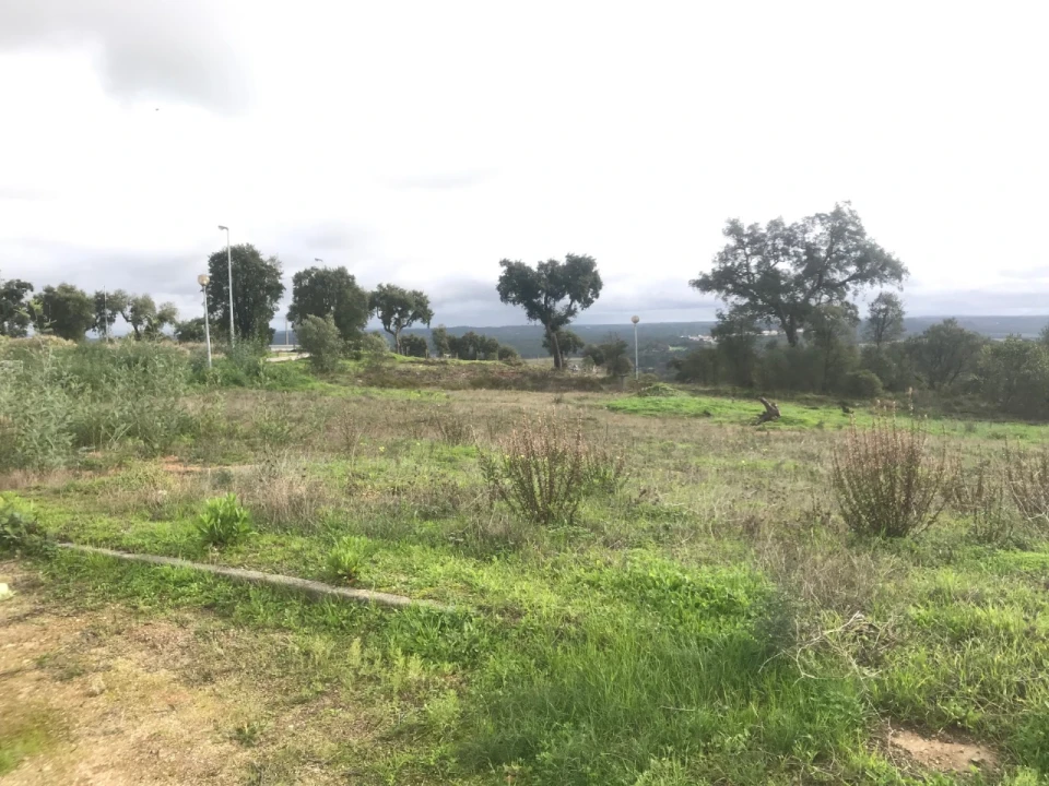 Terreno para Venda em São Miguel do Rio Torto e Rossio Ao Sul do Tejo Foto 6