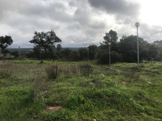 Terreno para Venda em São Miguel do Rio Torto e Rossio Ao Sul do Tejo Foto 2
