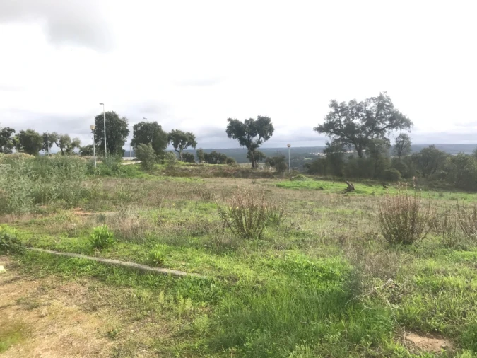 Terreno para Venda em São Miguel do Rio Torto e Rossio Ao Sul do Tejo Foto 6