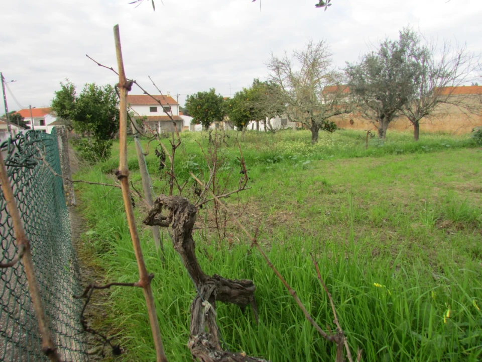 Terreno para Venda em Alvega e Concavada Foto 5