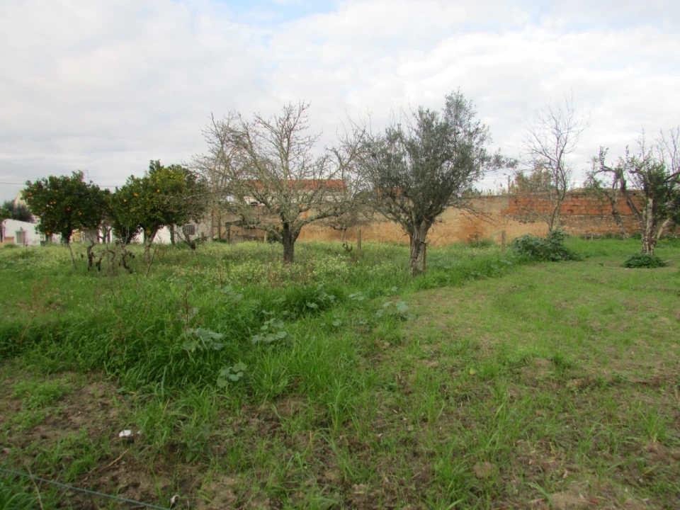Terreno para Venda em Alvega e Concavada Foto 10