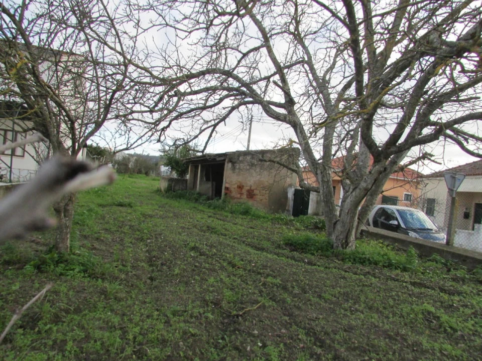 Terreno para Venda em Alvega e Concavada Foto 11