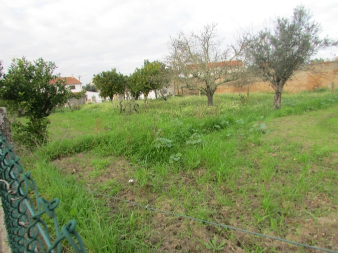 Terreno para Venda em Alvega e Concavada Foto 7