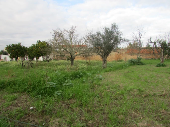 Terreno para Venda em Alvega e Concavada Foto 10