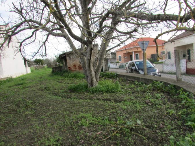 Terreno para Venda em Alvega e Concavada Foto 12