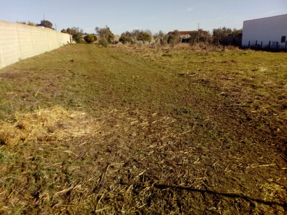 Terreno para Venda em Abrantes (São Vicente e São João) e Alferrarede Foto 1