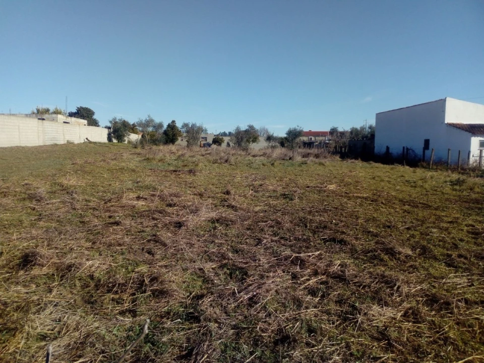 Terreno para Venda em Abrantes (São Vicente e São João) e Alferrarede Foto 2