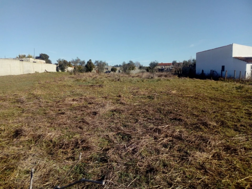 Terreno para Venda em Abrantes (São Vicente e São João) e Alferrarede Foto 4