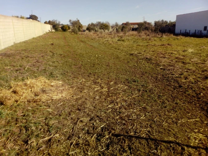 Terreno para Venda em Abrantes (São Vicente e São João) e Alferrarede Foto 1