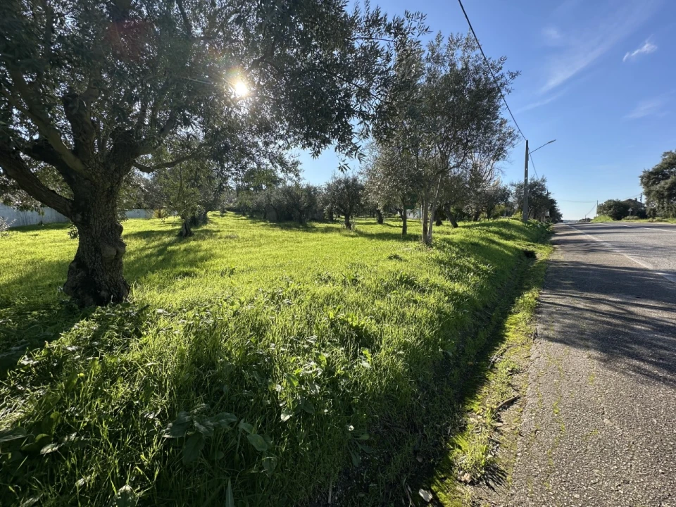 Terreno para Venda em Constancia Foto 3
