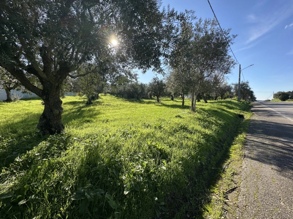 Terreno para Venda em Constancia Foto 4