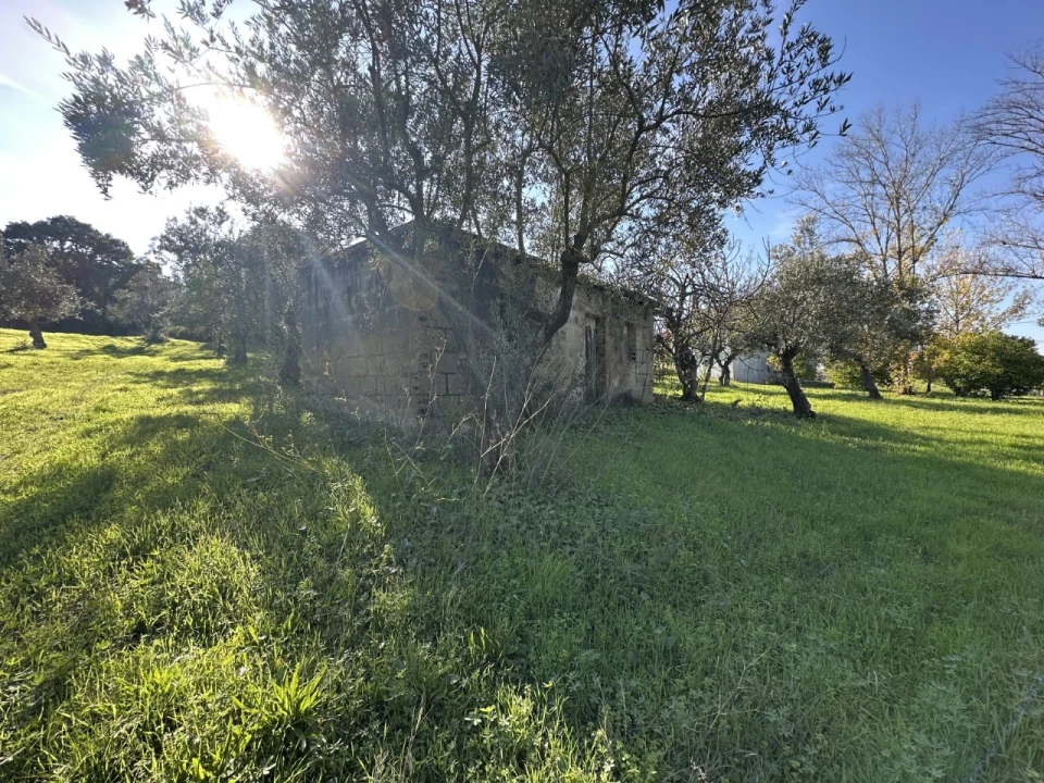 Terreno para Venda em Constancia Foto 18