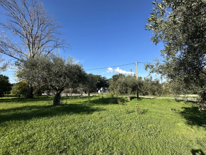 Terreno para Venda em Constancia Foto 16
