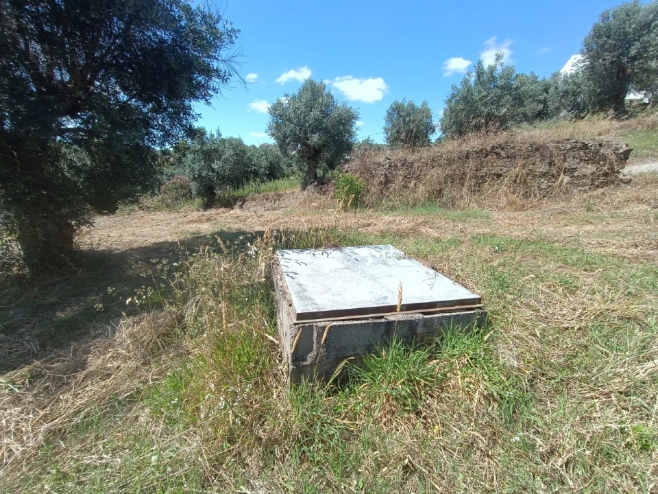 Terreno para Venda em Sardoal Foto 3