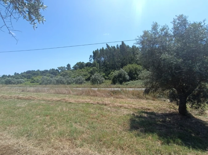 Terreno para Venda em Sardoal