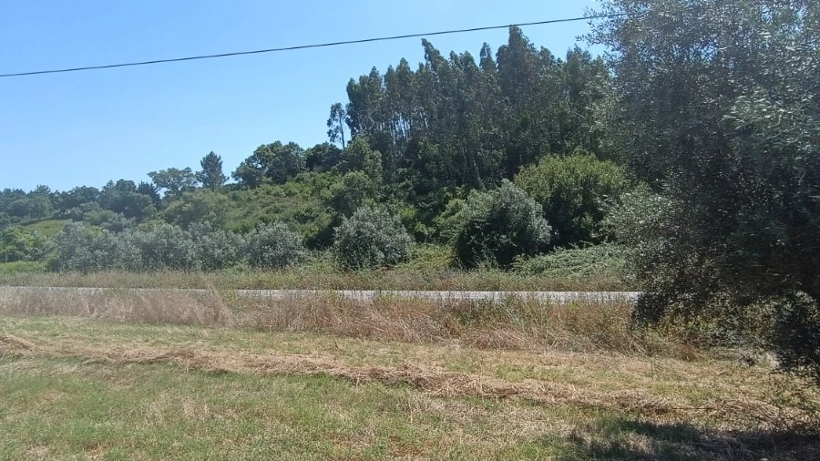 Terreno para Venda em Sardoal