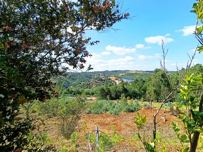 Moradia T3 para Venda em Martinchel Foto 11