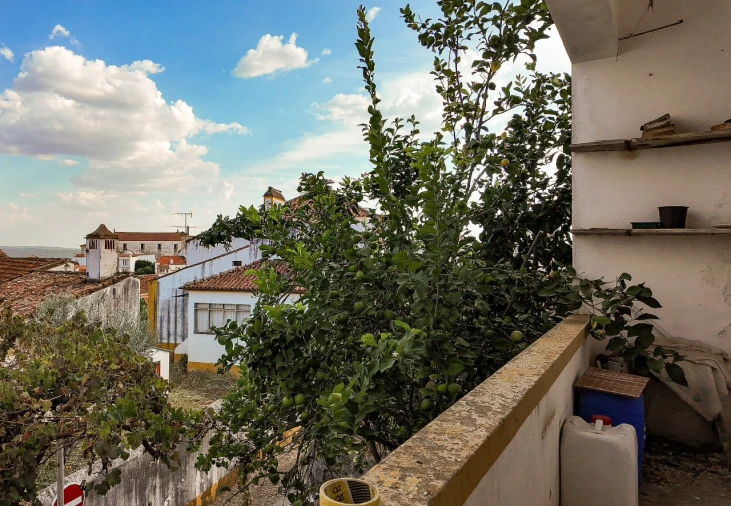Moradia T3 para Venda em Abrantes (São Vicente e São João) e Alferrarede Foto 19