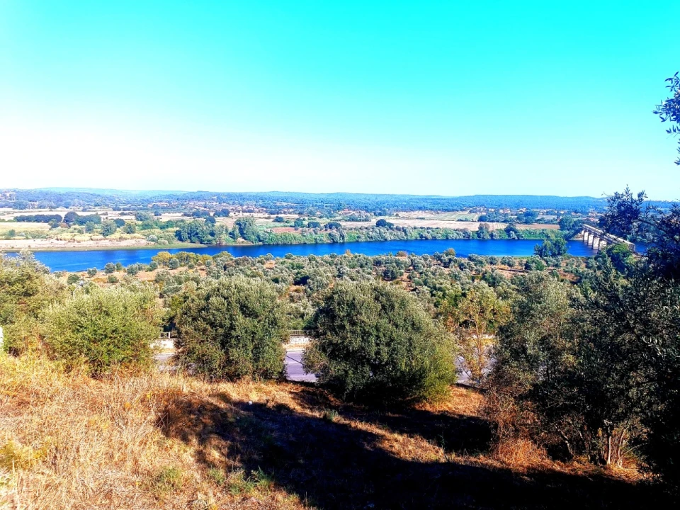 Terreno para Venda em Abrantes (São Vicente e São João) e Alferrarede Foto 3