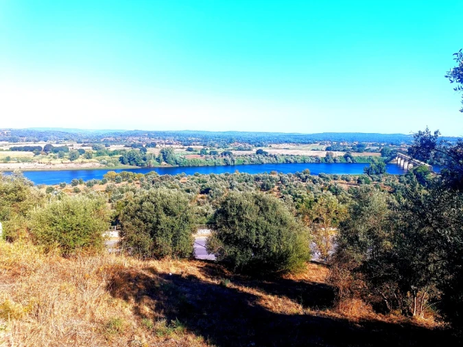 Terreno para Venda em Abrantes (São Vicente e São João) e Alferrarede Foto 3
