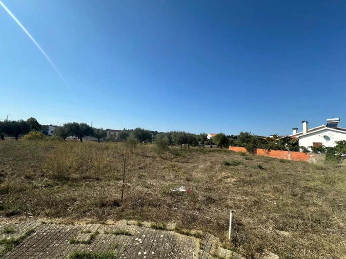 Terreno para Venda em Abrantes (São Vicente e São João) e Alferrarede Foto 7