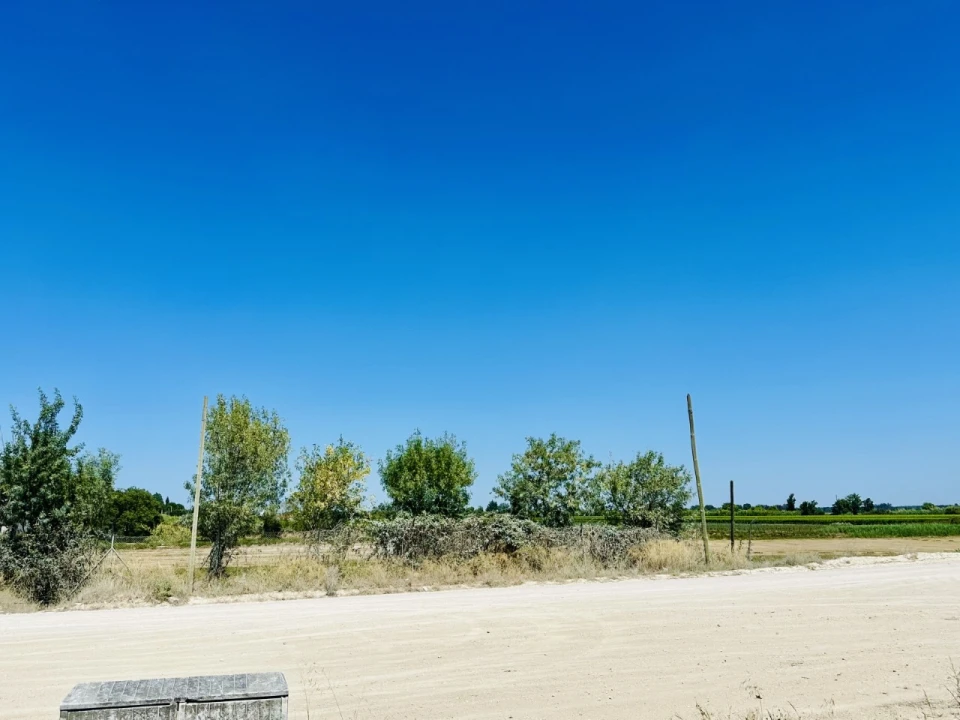 Terreno para Venda em Coruche, Fajarda e Erra Foto 8