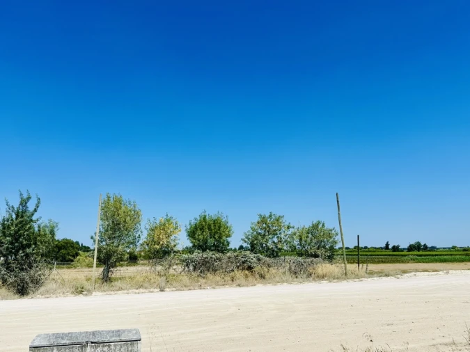Terreno para Venda em Coruche, Fajarda e Erra Foto 8