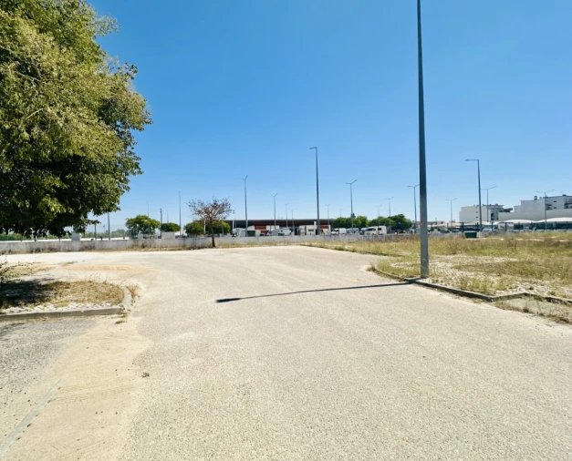 Terreno para Venda em Coruche, Fajarda e Erra Foto 9