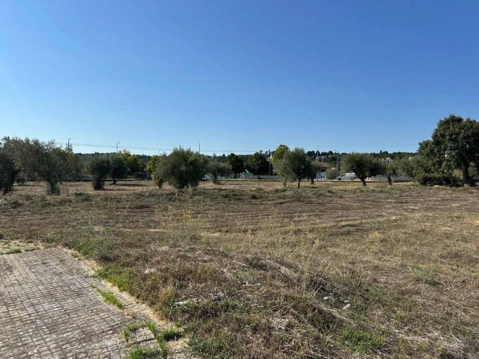 Terreno para Venda em Abrantes (São Vicente e São João) e Alferrarede Foto 3