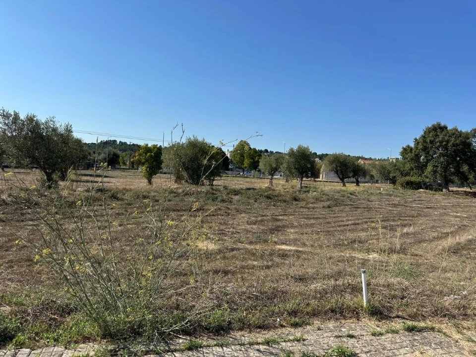 Terreno para Venda em Abrantes (São Vicente e São João) e Alferrarede Foto 6