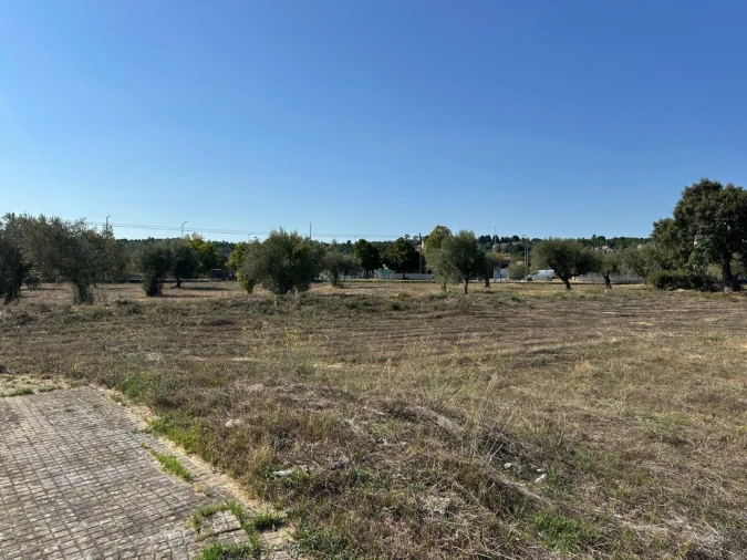 Terreno para Venda em Abrantes (São Vicente e São João) e Alferrarede Foto 3