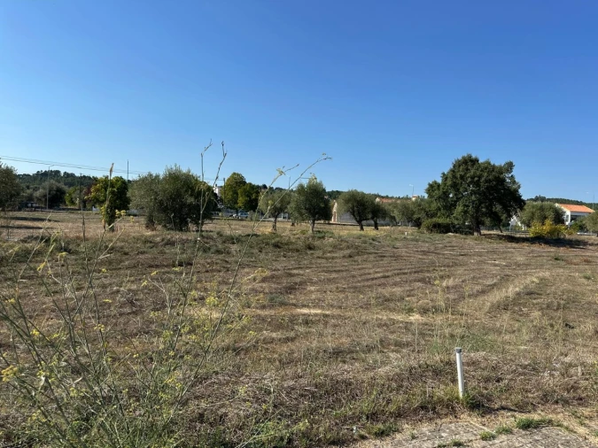 Terreno para Venda em Abrantes (São Vicente e São João) e Alferrarede Foto 7