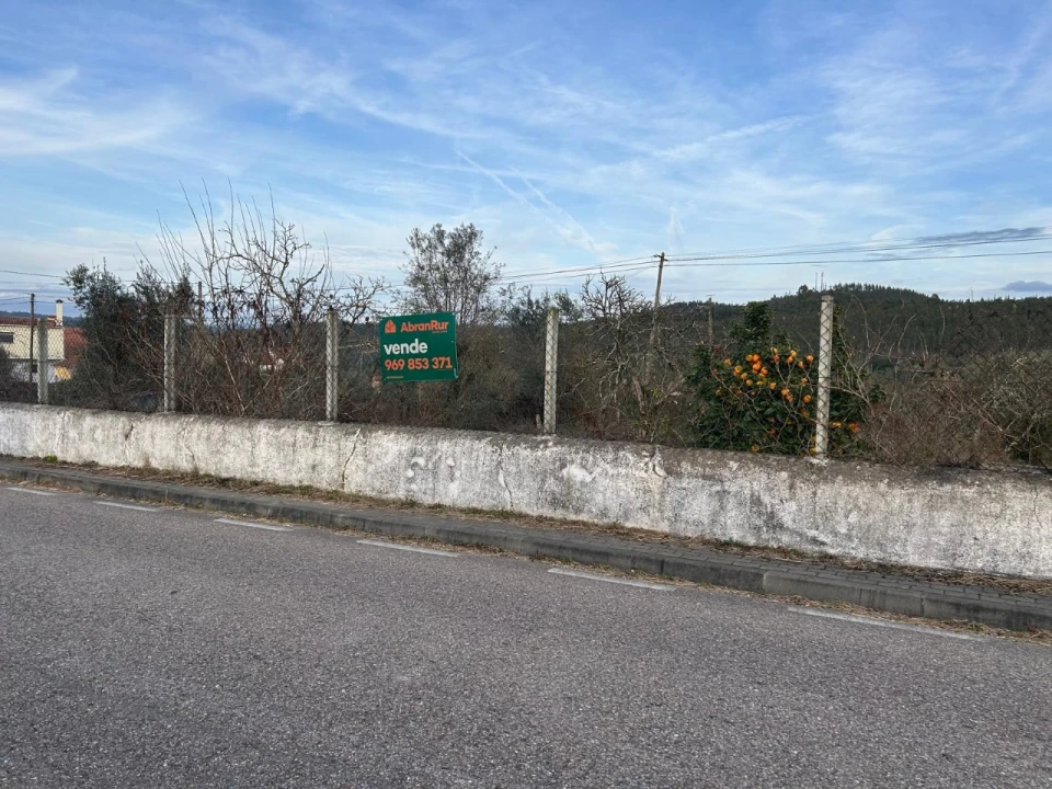 Terreno para Venda em Alvega e Concavada Foto 3