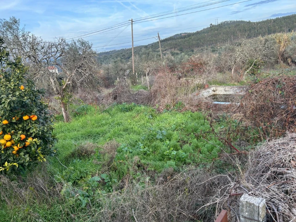 Terreno para Venda em Alvega e Concavada Foto 9