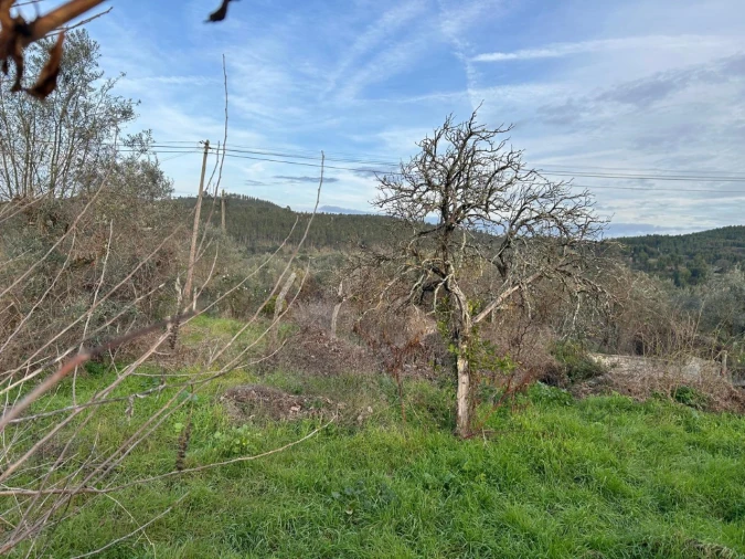Terreno para Venda em Alvega e Concavada Foto 4